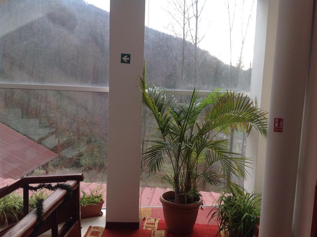 Hotel Panoramic Moneasa Quarto foto
